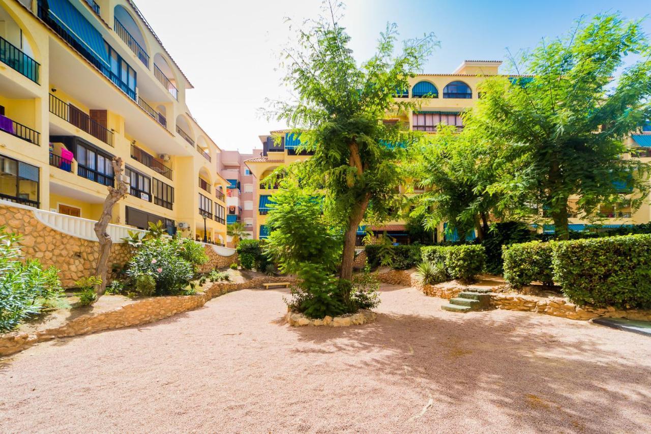 Apartamento Alegria Id36 La Mata  Eksteriør billede